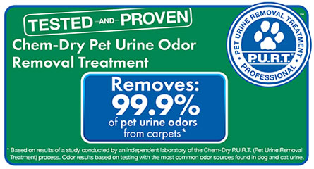 Pet Urine and Odor Removal Treatment statistics, service offered by Chem-Dry Kishwaukee